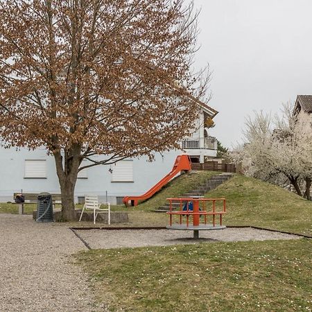 Heidis Dihei Apartment Busingen Exterior photo