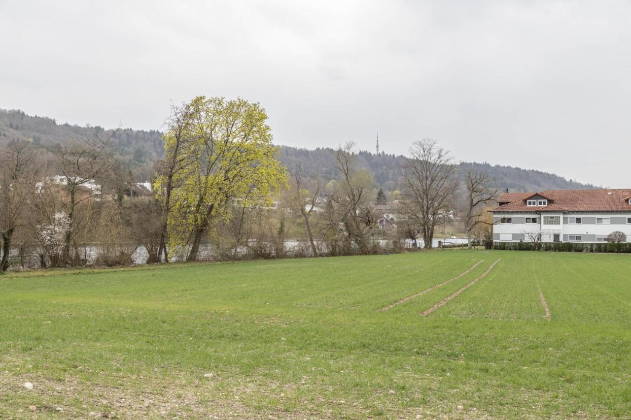 Heidis Dihei Apartment Busingen Exterior photo